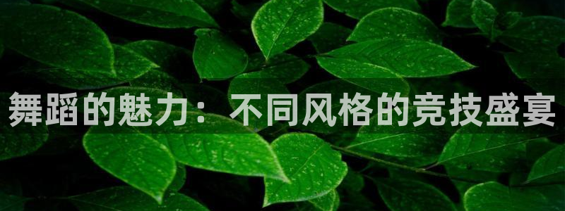 一竞技官方正版app神州:舞蹈的魅力:不同风格的竞技盛宴