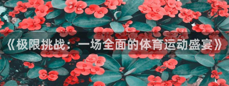 一竞技官网下载平台:《极限挑战:一场全面的体育运动盛宴》