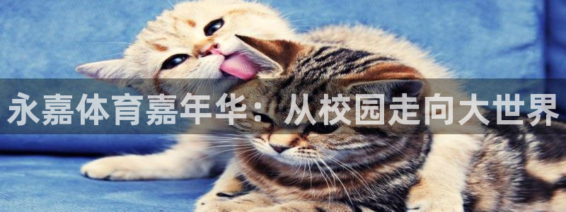 一竞技官网下载招商电话号码查询是多少:永嘉体育嘉年华:从校园